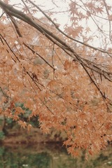 B2C94239-D23E-4CE0-8A63-70DD61F7B30B/L0/001
