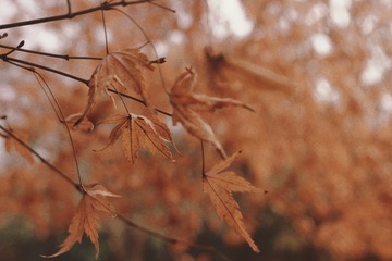 66182B12-7FF6-43AA-B7E3-2257BD096424/L0/001