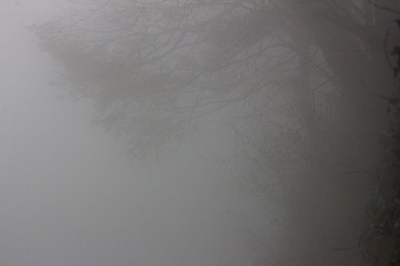 D4749F67-40ED-44B6-AA0B-946A53C95230/L0/001