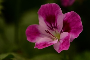 E88730D4-D56C-42CB-B25C-1EB70614CC23/L0/001