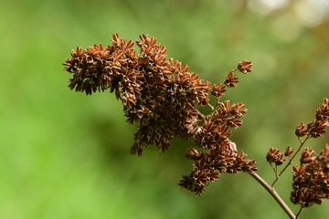 A76E8B55-5FAD-4A99-9420-6415D7F4620D/L0/001