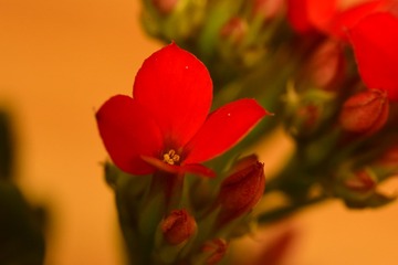 9CB7709D-8015-4D8A-B6A0-B415F680903F/L0/001