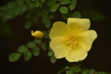 39D059D5-F5D4-4F31-A93F-6096EB745095/L0/001
