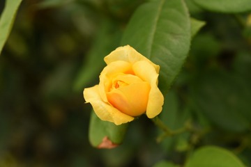 526E167C-04DB-458F-A698-8AAF2C04CBA9/L0/001