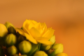 37F40F2D-CC8F-4CA1-8E59-A16420616BB8/L0/001