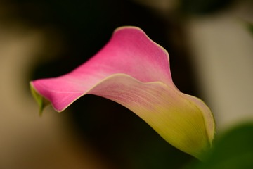592DFE51-1FE8-4C36-8EC1-3E33B310E99D/L0/001