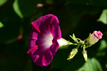 4DF50D99-425C-4691-B2B9-0AFC1D51D523/L0/001