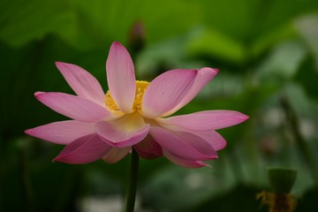 C5CB0AE4-4724-44E0-B436-77D3C0339E96/L0/001