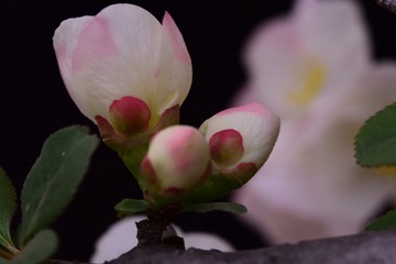 069506A5-DAA8-4C7B-867A-55E875F93BFA/L0/001