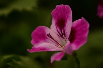 6A001CEE-AEF4-4D7E-8BFF-B9C3D7282507/L0/001