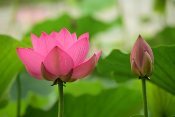 B0933D8B-1278-4CCB-B0BA-C57E3896EE01/L0/001