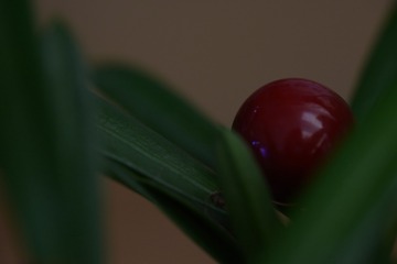 EB22DA18-AA4A-46BD-9999-D212CBD4EF6C/L0/001