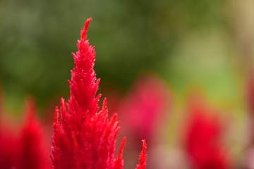 C7240105-248A-40B1-8B45-98EF3E3D82F0/L0/001