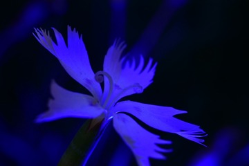 25C2865F-54BA-43BB-AAD3-F3C59BF3A490/L0/001