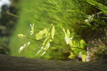 4EAB9B04-64CE-4E37-BF49-9C046C770651/L0/001