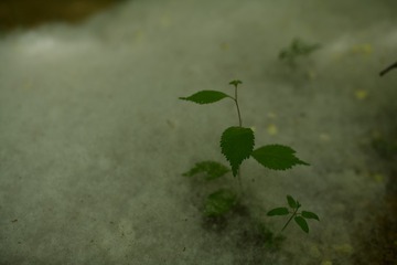 5BBB3598-B741-4D9C-980A-BFA15298F0E1/L0/001