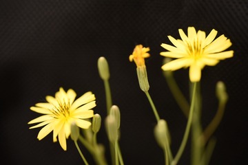 D16F9C06-FDE7-4305-88C2-AF8CD0B54196/L0/001