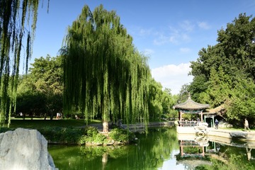 03196187-6B7B-4ADB-9722-0B2690E04F67/L0/001
