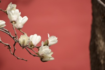 939AFF77-54BF-42C1-B456-8608CE8501C7/L0/001