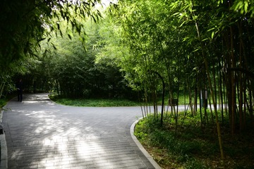 8B023433-0AAD-4D41-B778-CFC4FBF269C0/L0/001