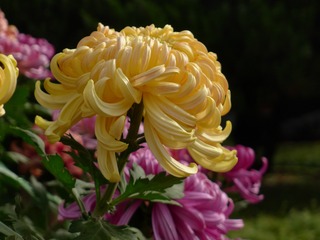 B7907D3D-96E2-4B3B-BBF4-2B30CFEA9CEB/L0/001
