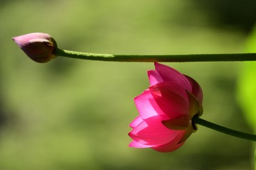 AB8669FE-6A0D-49E1-B5AE-62FAD1880A49/L0/001