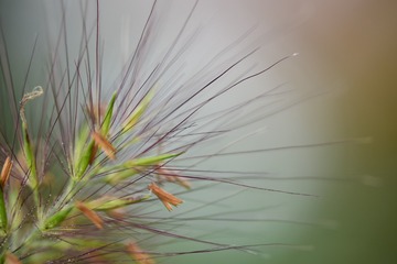 65AE60C0-A52E-436E-A616-6899785DF11E/L0/001