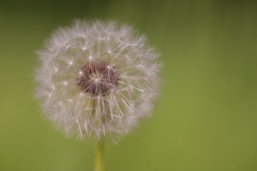 3F711CE0-366B-4D1C-BF44-E3A4DF291872/L0/001
