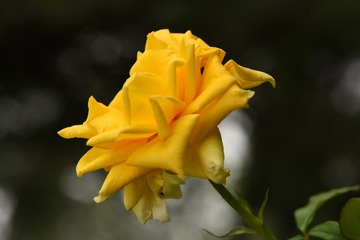 4A3F5B43-20F0-40C0-AAEA-9052F3B85039/L0/001