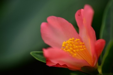 60F4A0DB-17C4-43F6-B9C3-0AAD222ACEE8/L0/001
