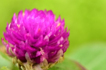 AD11F81B-92C7-437F-BE86-A1A7D93B9C8B/L0/001