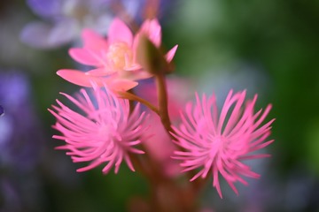 65710D7B-7A04-47DA-B8CF-310E91F7FA3E/L0/001