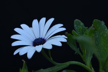 99104E4C-7A91-45E7-9947-E67EF0AB0DA1/L0/001