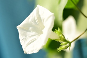 B1FF84F8-71B4-432A-ADB4-ED5F80001274/L0/001