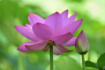 46D1E3A1-5EF5-470C-8CBB-BD0961117679/L0/001