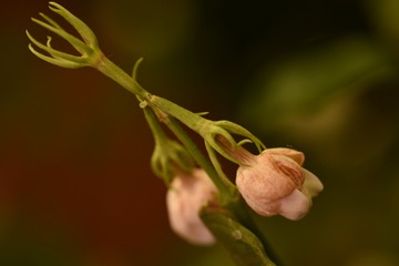 0A27E70E-8DF0-4BC6-98F8-ED54AE222EFB/L0/001