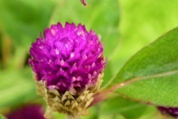 7CA45D76-394E-434D-971D-A2EB77CE18E1/L0/001