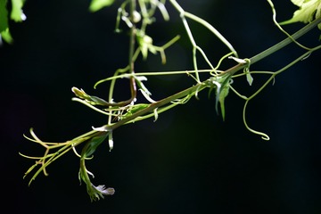 3128E1D4-01F9-41CD-B0C2-7AF0844AD88A/L0/001