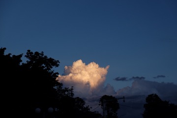0C993C29-3737-4EED-88B5-61CC17309783/L0/001