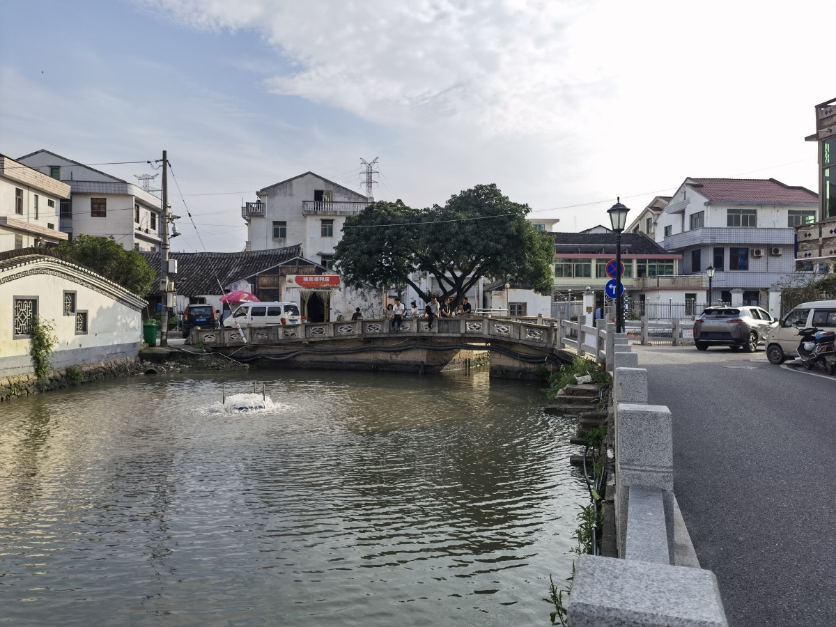 温州七都岛樟里