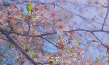 87FB74B4-30FC-4979-8B24-2EAD237F88B7/L0/001