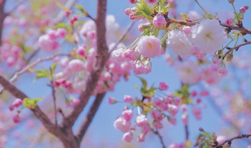 EE28D619-A9E1-4269-9400-95D76B320BFD/L0/001