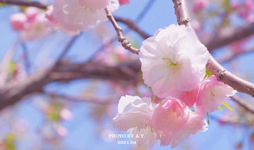 739D8BCB-CC03-487D-AE79-91ABB55C9BC1/L0/001