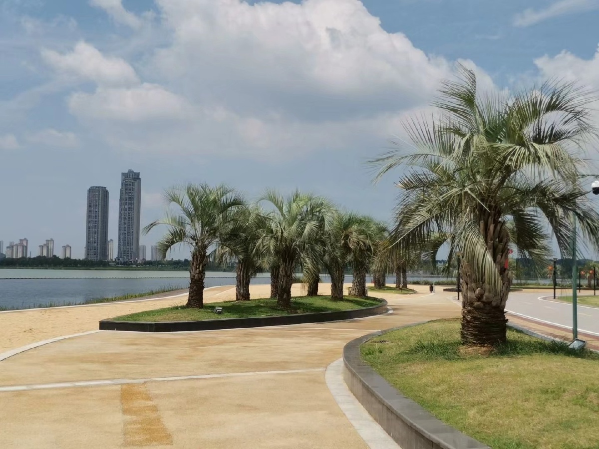 松雅湖沙滩原图