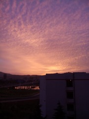 56F896B096994B3351948F7BC3C4E9F4_0