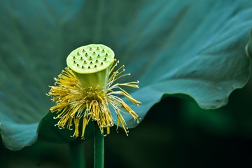 15882