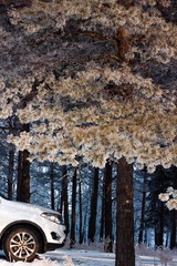 F430D269-5C86-4A79-8FD2-B7BD9441CC6F/L0/001