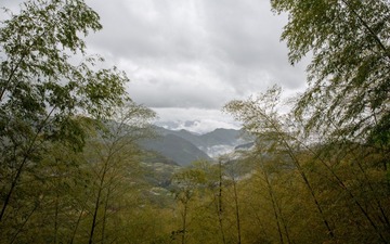 X42A0961.jpg