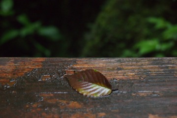 B08911E9-ECED-47F5-B111-9A59C997DAB1/L0/001