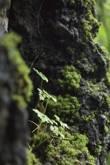 1F6AD537-EF55-4053-AE8C-676C6A01556A/L0/001